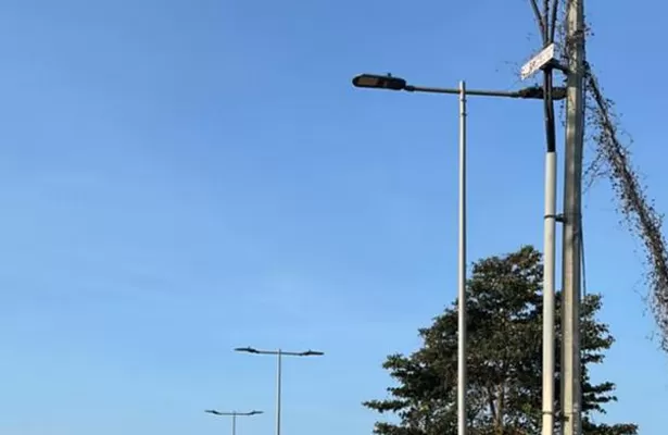 Cas de partenariat de marque à long terme | Coopération stratégique ODM / OEM dans l'éclairage photovoltaïque intelligent